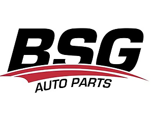 Запчасти BSG (Басбуг) каталог. каталог. Купить зачасти BSG для Форд ...