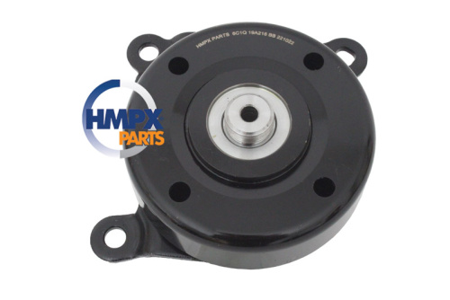 2435468 Шкив ремня натяжной FORD TRANSIT 2000-2015 (2.4TDCI) HMPX