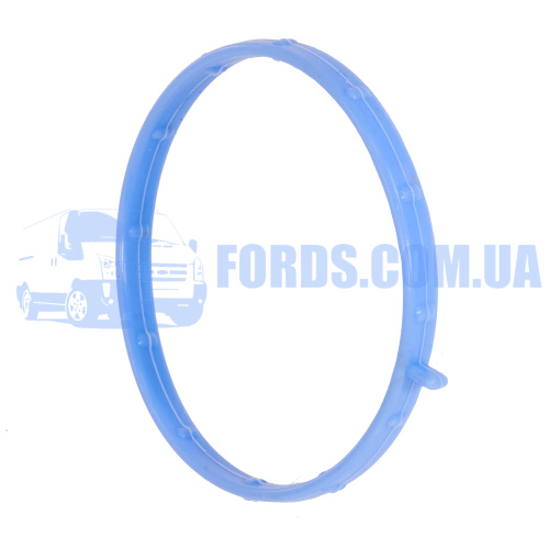 1372803 Прокладка турбины FORD TRANSIT 2006-2014 (2.4TDCI/3.2TDCI) IBRAS