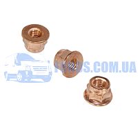 3M5Q9P441BA Гайка двигателя FORD ALL MODELS (Ø8X1.25MM Медь) HMPX