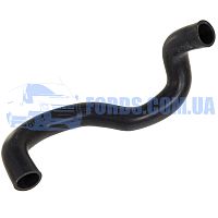 6C118B274EE Патрубок радиатора верхний FORD TRANSIT 2006-2014 (2.4TDCI) ONKA
