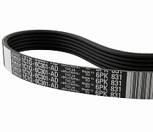 1C1Q6D314AB Ремень поликлиновый FORD TRANSIT 2000-2006 (6PK831) ORIGINAL