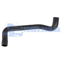 98AB8B273DH Патрубок радиатора нижний FORD FOCUS 1998-2005 (1.8TDCI) IBRAS