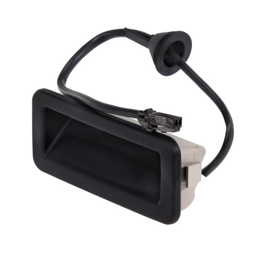 1346324 Кнопка открытия багажника FORD FOCUS/C-MAX 2003-2010 DP GROUP
